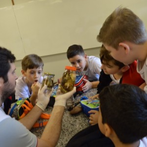 AULA NO LABORATÓRIO SOBRE ANIMAIS VERTEBRADOS E INVERTEBRADOS