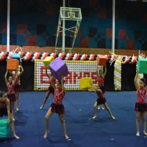 FESTIVAL DE GINÁSTICA 2017