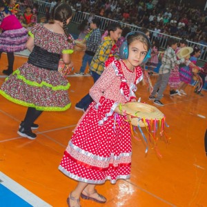 FESTA JUNINA - É O ARRAIÁ DO SANTÃO 2024