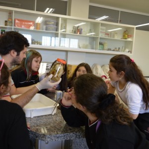 AULA NO LABORATÓRIO SOBRE ANIMAIS VERTEBRADOS E INVERTEBRADOS