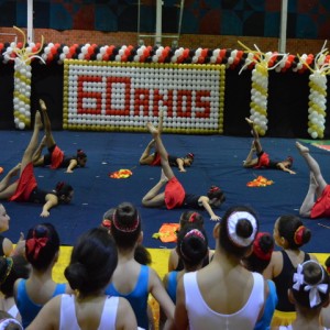 FESTIVAL DE GINÁSTICA 2017