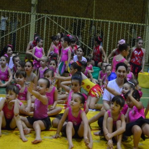 FESTIVAL DE GINÁSTICA 2017