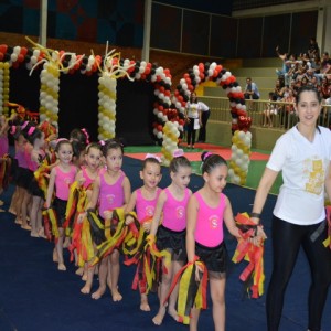 FESTIVAL DE GINÁSTICA 2017