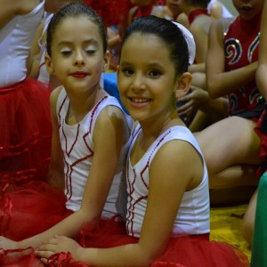 FESTIVAL DE GINÁSTICA 2017