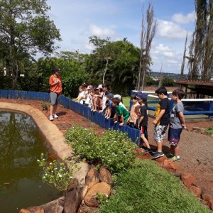 FAZENDO FAZENDA 2º ANO -  2018