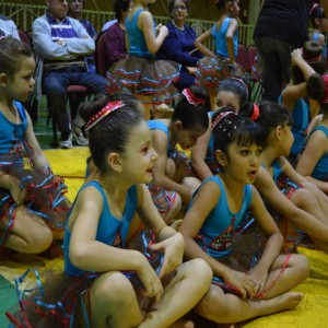 FESTIVAL DE GINÁSTICA 2017