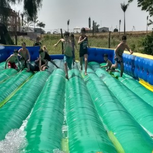 FAZENDO FAZENDA 2017