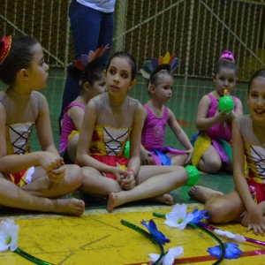 FESTIVAL DE GINÁSTICA 2017