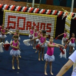 FESTIVAL DE GINÁSTICA 2017