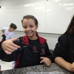 VISITA AO LABORATÓRIO DE CIÊNCIAS