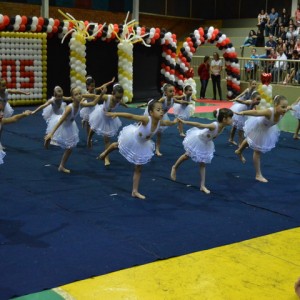 FESTIVAL DE GINÁSTICA 2017