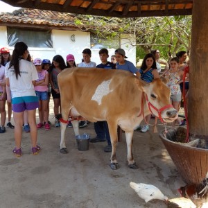 VIAGEM DE ESTUDO AO SÍTIO DO CARROÇÃO