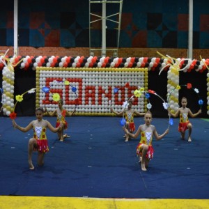 FESTIVAL DE GINÁSTICA 2017