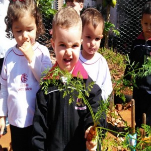 VISITA AO LABORATÓRIO: EXPLORANDO BICHINHOS DE JARDIM