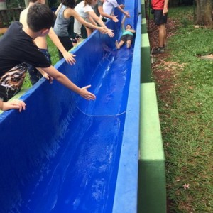 FAZENDO FAZENDA 5º ANO -  2018