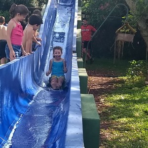 FAZENDO FAZENDA 3º ANO -  2018