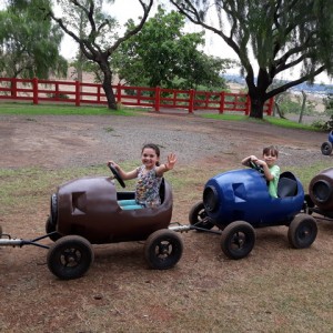 FAZENDO FAZENDA 2º ANO -  2018