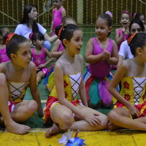 FESTIVAL DE GINÁSTICA 2017