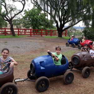 FAZENDO FAZENDA 2º ANO -  2018