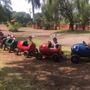 FAZENDO FAZENDA 4º ANO -  2018