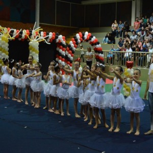 FESTIVAL DE GINÁSTICA 2017