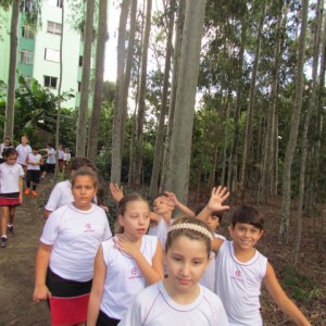 DIA DE CONVIVÊNCIA - Ensino Fundamental I - 2016