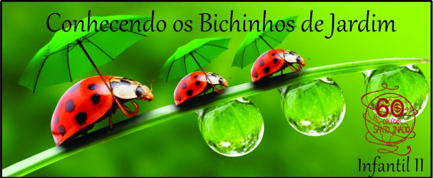 VISITA AO LABORATÓRIO: EXPLORANDO BICHINHOS DE JARDIM