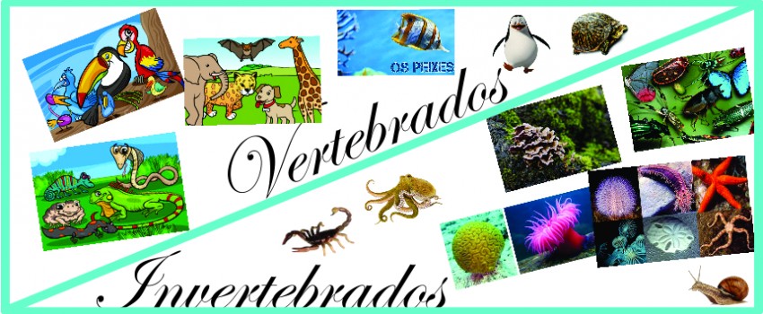 AULA NO LABORATÓRIO SOBRE ANIMAIS VERTEBRADOS E INVERTEBRADOS